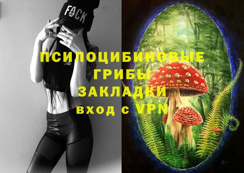 Галлюциногенные грибы Magic Shrooms  наркота  блэк спрут tor  Гаврилов-Ям 